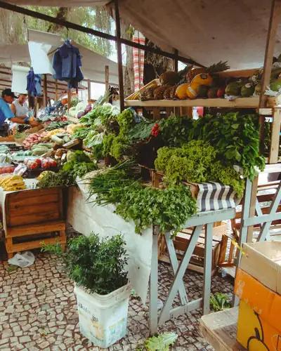 Feira e comércio de Maranguape atendidos pela Hopecont Contabilidade