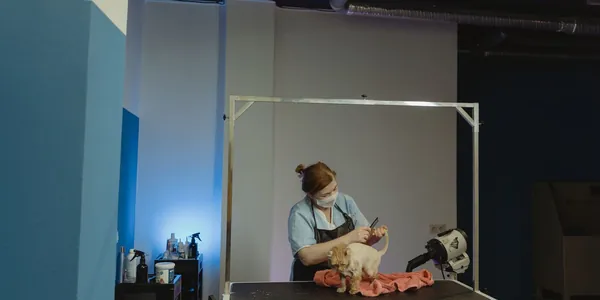Como abrir empresa de pet shop e veterinária