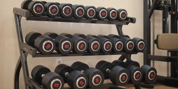 Halteres organizados em um suporte de academia, com aparelhos ao fundo.